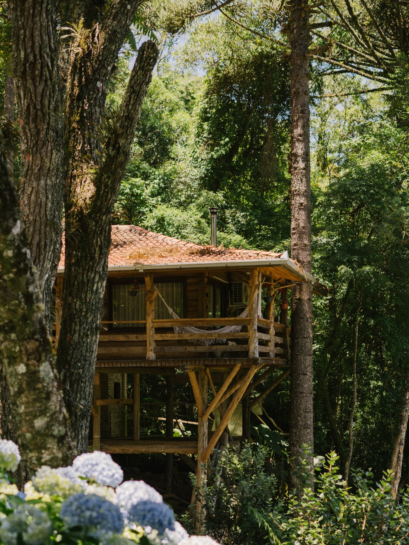 O Chalé das Araucárias suspenso entre as árvores, com hortênsias em primeiro plano