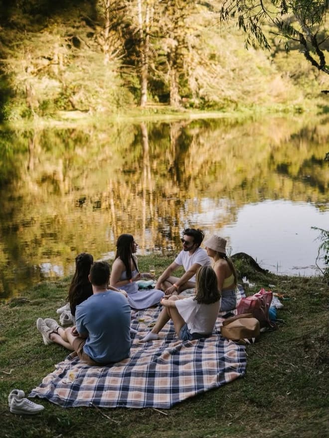 Família fazendo piquenique à beira do lago
