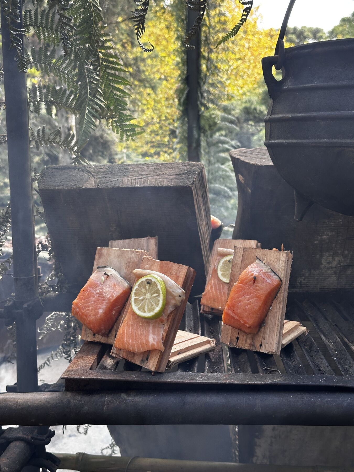 Salmão com limão na grelha, no Além Mar
