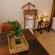 Mesa de madeira com planta e o cabideiro ao fundo